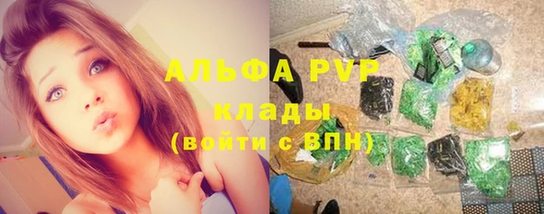 mdpv Заводоуковск