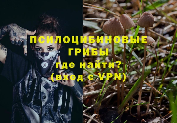 наркотики Зерноград